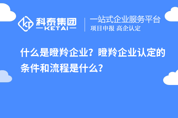 什么是瞪羚企業(yè)？<a href=http://www.cfu6.com/fuwu/dengling.html target=_blank class=infotextkey>瞪羚企業(yè)認(rèn)定</a>的條件和流程是什么？