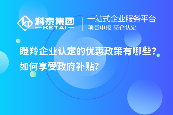 瞪羚企業(yè)認(rèn)定的優(yōu)惠政策有哪些？如何享受政府補(bǔ)貼？