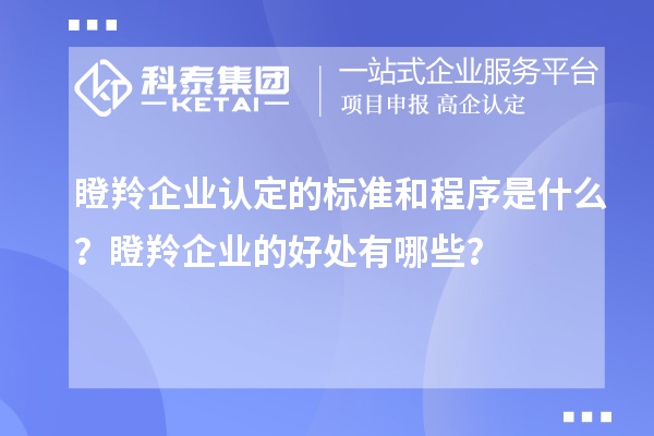 瞪羚企業(yè)認定的標(biāo)準(zhǔn)和程序是什么？瞪羚企業(yè)的好處有哪些？