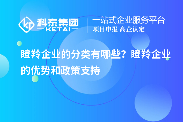瞪羚企業(yè)的分類有哪些？瞪羚企業(yè)的優(yōu)勢和政策支持