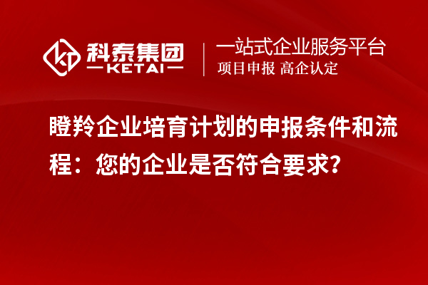 瞪羚企業(yè)培育計劃的申報條件和流程：您的企業(yè)是否符合要求？