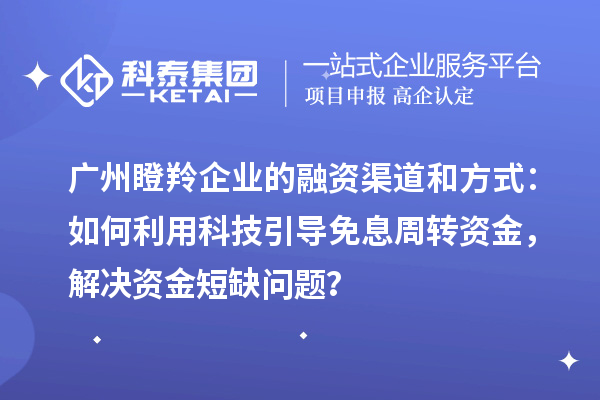 廣州瞪羚企業(yè)的融資渠道和方式：如何利用科技引導(dǎo)免息周轉(zhuǎn)資金，解決資金短缺問題？