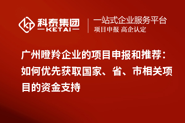 廣州瞪羚企業(yè)的項目申報和推薦：如何優(yōu)先獲取國家、省、市相關(guān)項目的資金支持