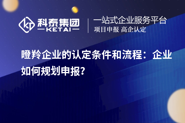 瞪羚企業(yè)的認(rèn)定條件和流程：企業(yè)如何規(guī)劃申報(bào)？