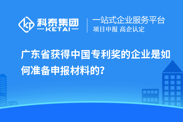 廣東省獲得中國專利獎(jiǎng)的企業(yè)是如何準(zhǔn)備申報(bào)材料的？