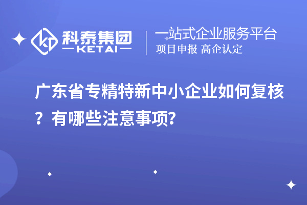 廣東省專精特新中小企業(yè)如何復(fù)核？有哪些注意事項？