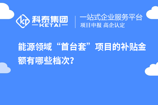 能源領(lǐng)域“首臺套”項目的補貼金額有哪些檔次？