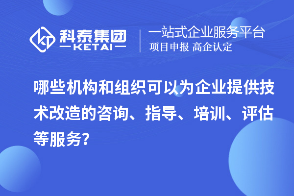 哪些機構(gòu)和組織可以為企業(yè)提供技術(shù)改造的咨詢、指導、培訓、評估等服務？