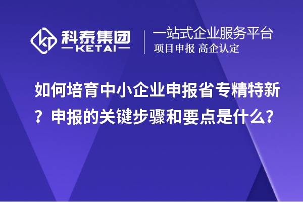 如何培育中小企業(yè)申報省專精特新？申報的關鍵步驟和要點是什么？