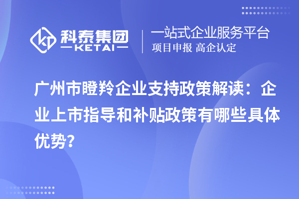 廣州市瞪羚企業(yè)支持政策解讀：企業(yè)上市指導(dǎo)和補(bǔ)貼政策有哪些具體優(yōu)勢(shì)？