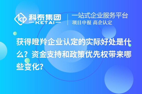 獲得瞪羚企業(yè)認(rèn)定的實(shí)際好處是什么？資金支持和政策優(yōu)先權(quán)帶來哪些變化？