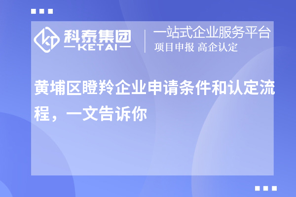 黃埔區(qū)瞪羚企業(yè)申請(qǐng)條件和認(rèn)定流程，一文告訴你