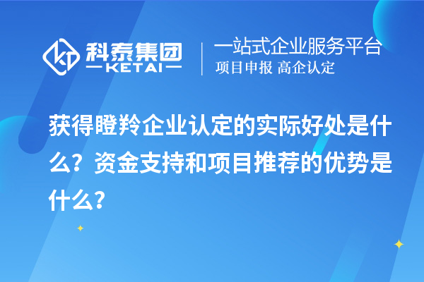 獲得瞪羚企業(yè)認(rèn)定的實(shí)際好處是什么？資金支持和項(xiàng)目推薦的優(yōu)勢(shì)是什么？