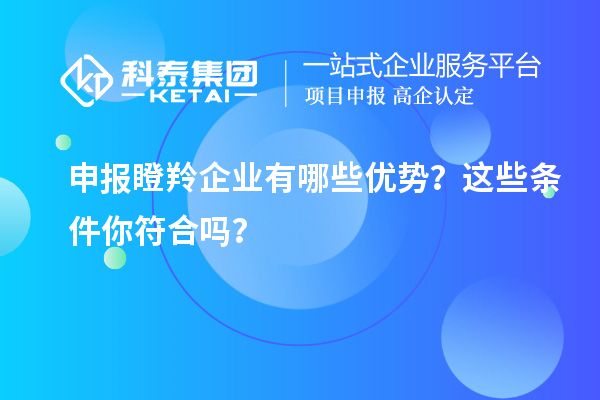 申報瞪羚企業(yè)有哪些優(yōu)勢？這些條件你符合嗎？