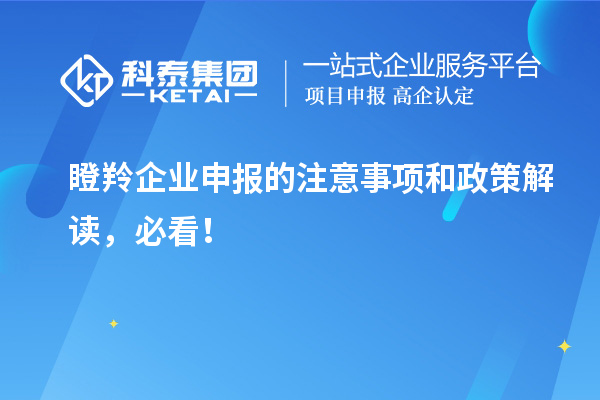瞪羚企業(yè)申報的注意事項和政策解讀，必看！