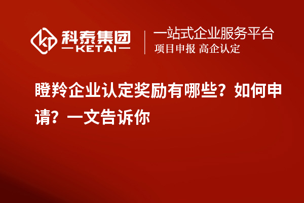 瞪羚企業(yè)認定獎勵有哪些？如何申請？一文告訴你