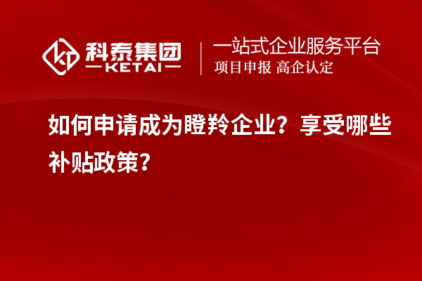 如何申請成為瞪羚企業(yè)？享受哪些補貼政策？