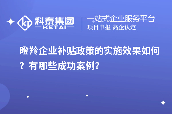 瞪羚企業(yè)補貼政策的實施效果如何？有哪些成功案例？
