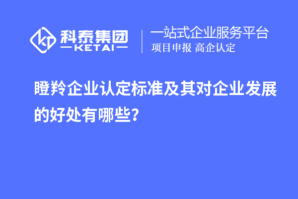 <a href=http://www.cfu6.com/fuwu/dengling.html target=_blank class=infotextkey>瞪羚企業(yè)認(rèn)定</a>標(biāo)準(zhǔn)及其對(duì)企業(yè)發(fā)展的好處有哪些？