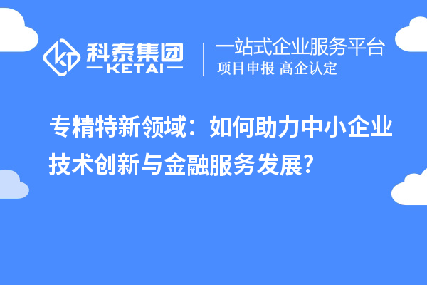 專精特新領域:如何助力中小企業(yè)技術創(chuàng)新與金融服務發(fā)展?