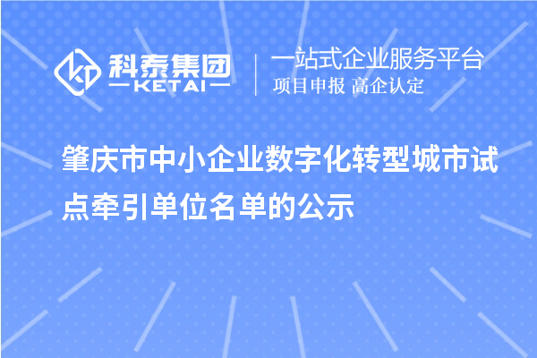 肇慶市中小企業(yè)數(shù)字化轉型城市試點牽引單位名單的公示