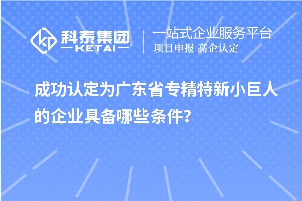 成功認(rèn)定為廣東省專精特新小巨人的企業(yè)具備哪些條件？