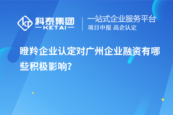 瞪羚企業(yè)認(rèn)定對(duì)廣州企業(yè)融資有哪些積極影響？