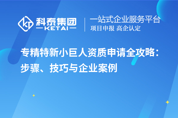 專精特新小巨人資質(zhì)申請全攻略：步驟、技巧與企業(yè)案例