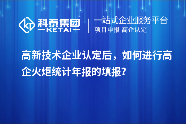 高新技術(shù)企業(yè)認定后，如何進行高企火炬統(tǒng)計年報的填報？