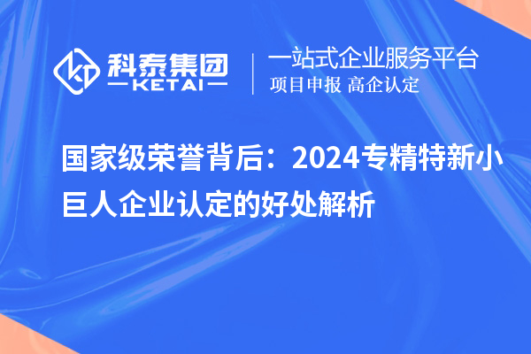 國家級榮譽背后：2024專精特新小巨人企業(yè)認定的好處解析