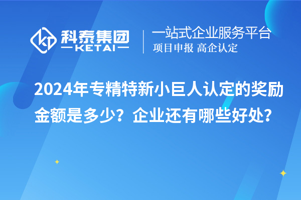 2024年專精特新小巨人認(rèn)定的獎(jiǎng)勵(lì)金額是多少？企業(yè)還有哪些好處？