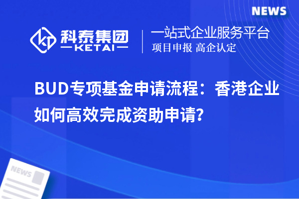 BUD專項基金申請流程：香港企業(yè)如何高效完成資助申請？