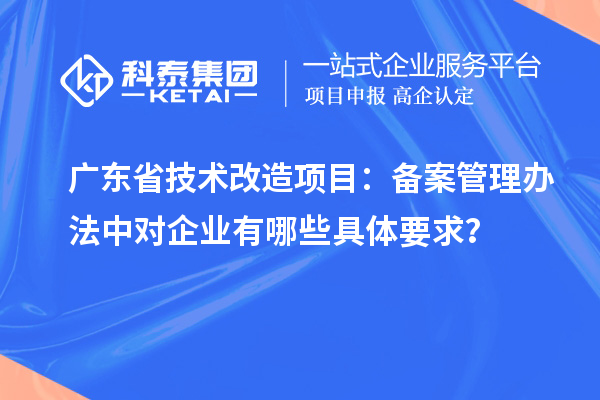 廣東省技術(shù)改造項(xiàng)目：備案管理辦法中對企業(yè)有哪些具體要求？