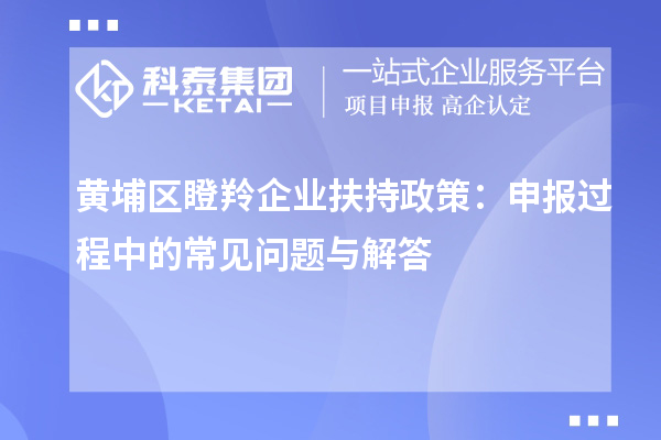 黃埔區(qū)瞪羚企業(yè)扶持政策：申報(bào)過(guò)程中的常見(jiàn)問(wèn)題與解答