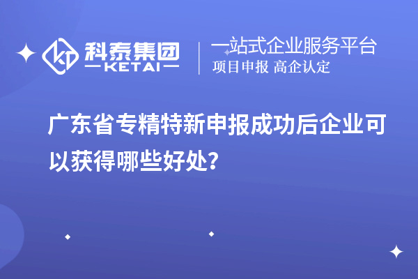 廣東省專精特新申報(bào)成功后企業(yè)可以獲得哪些好處？