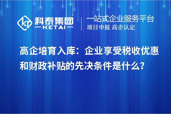 高企培育入庫：企業(yè)享受稅收優(yōu)惠和財政補(bǔ)貼的先決條件是什么？