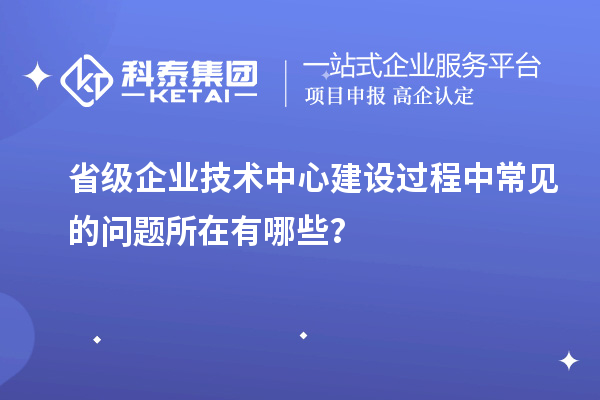 省級企業(yè)技術(shù)中心建設(shè)過程中常見的問題所在有哪些？