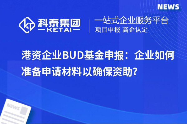 港資企業(yè)BUD基金申報(bào)：企業(yè)如何準(zhǔn)備申請(qǐng)材料以確保資助？