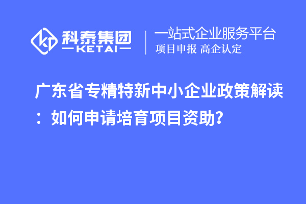 廣東省專精特新中小企業(yè)政策解讀：如何申請培育項(xiàng)目資助？