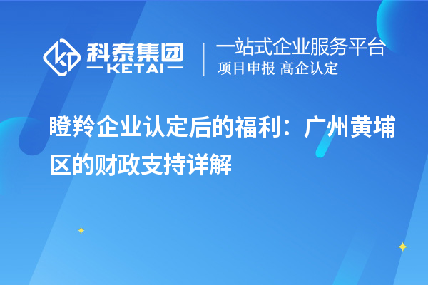 瞪羚企業(yè)認(rèn)定后的福利：廣州黃埔區(qū)的財(cái)政支持詳解