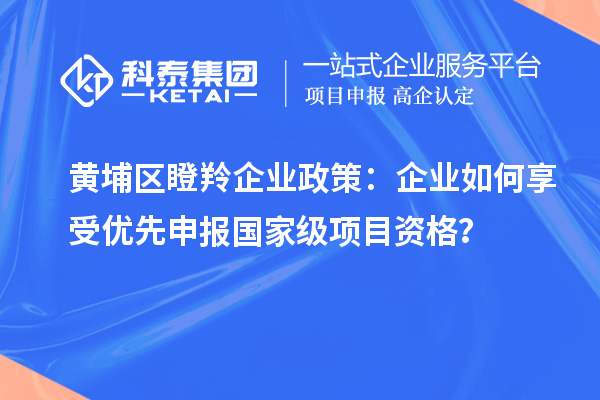 黃埔區(qū)瞪羚企業(yè)政策：企業(yè)如何享受優(yōu)先申報國家級項目資格？