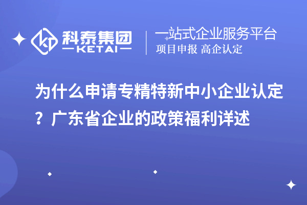 為什么申請(qǐng)專精特新中小企業(yè)認(rèn)定？廣東省企業(yè)的政策福利詳述