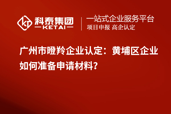 廣州市瞪羚企業(yè)認(rèn)定：黃埔區(qū)企業(yè)如何準(zhǔn)備申請材料？