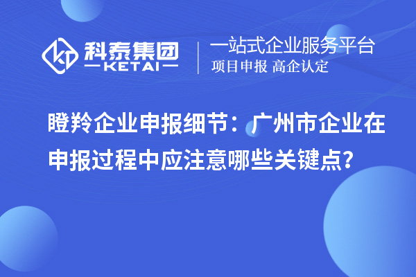瞪羚企業(yè)申報細(xì)節(jié)：廣州市企業(yè)在申報過程中應(yīng)注意哪些關(guān)鍵點(diǎn)？