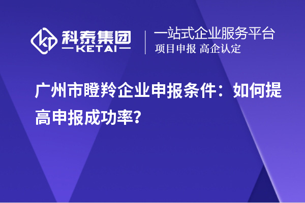 廣州市瞪羚企業(yè)申報條件：如何提高申報成功率？