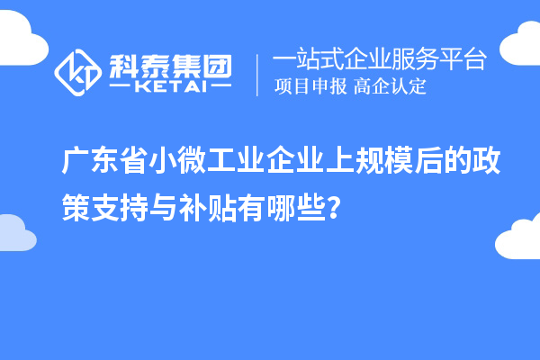 廣東省小微工業(yè)企業(yè)上規(guī)模后的政策支持與補貼有哪些？