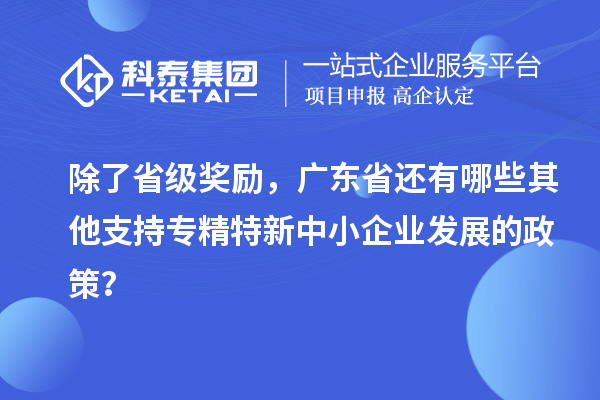除了省級獎勵，廣東省還有哪些其他支持專精特新中小企業(yè)發(fā)展的政策？