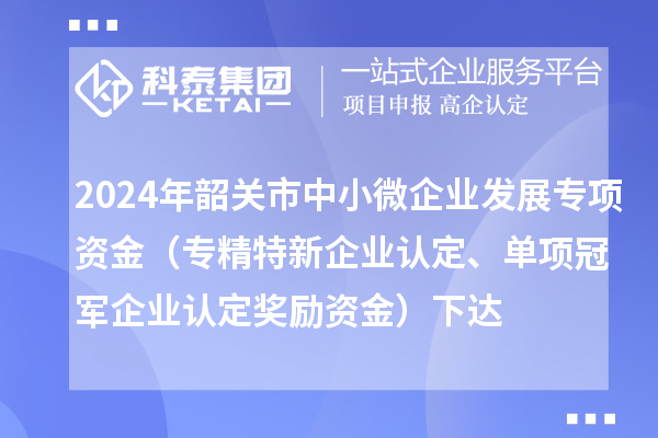 2024年韶關市中小微企業(yè)發(fā)展專項資金（專精特新企業(yè)認定、單項冠軍企業(yè)認定獎勵資金）下達