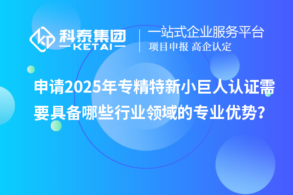 申請2025年專精特新小巨人認證需要具備哪些行業(yè)領域的專業(yè)優(yōu)勢？