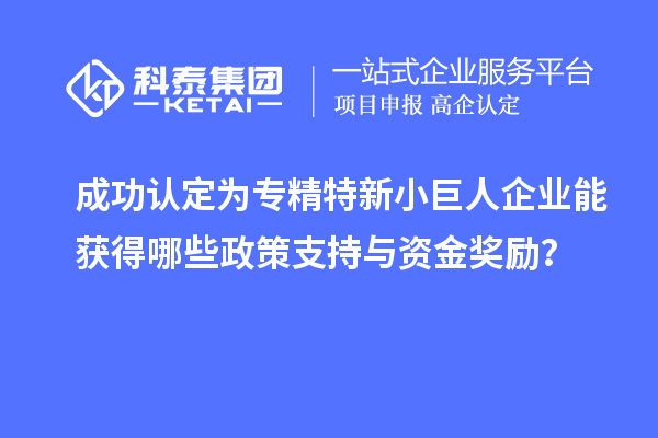 成功認(rèn)定為專精特新小巨人企業(yè)能獲得哪些政策支持與資金獎(jiǎng)勵(lì)？
